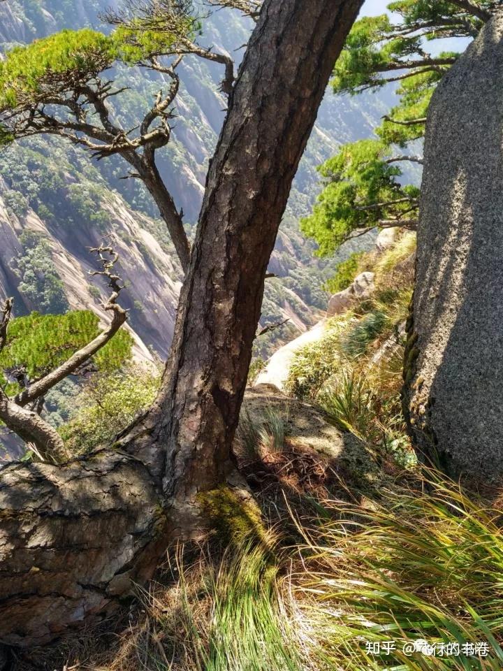 独攀黄山天都峰纪实:迤逦上天都,骑鲸腾汗漫 - 知乎