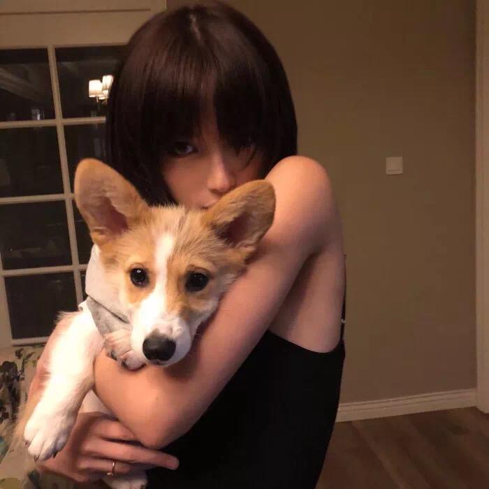 有没有女孩子抱着狗狗的头像,越多越好?