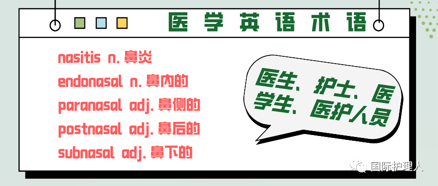 零基础 3分钟掌握与 Nas O 鼻 相关的医学英语术语 知乎