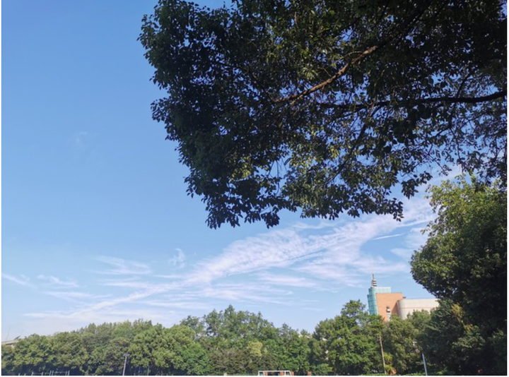 先天与后天?谁赢得这场在心理学中的战斗! 知乎