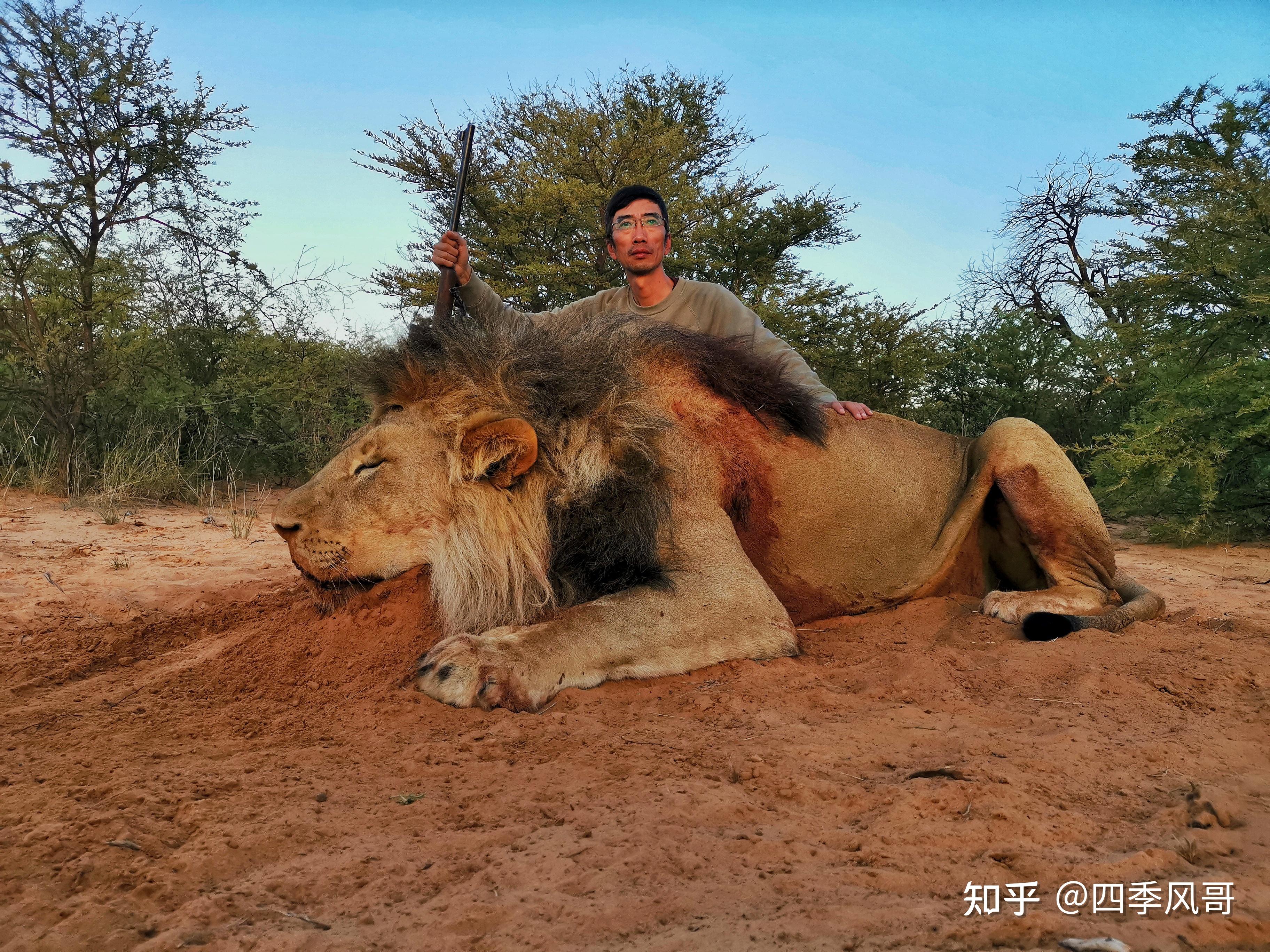 弱爆了,狩猎旅行才是高段位玩法,怎样参与合法狩猎?全球合法狩猎地盘点与入门指南,记得收藏,说不准能用上! - 知乎