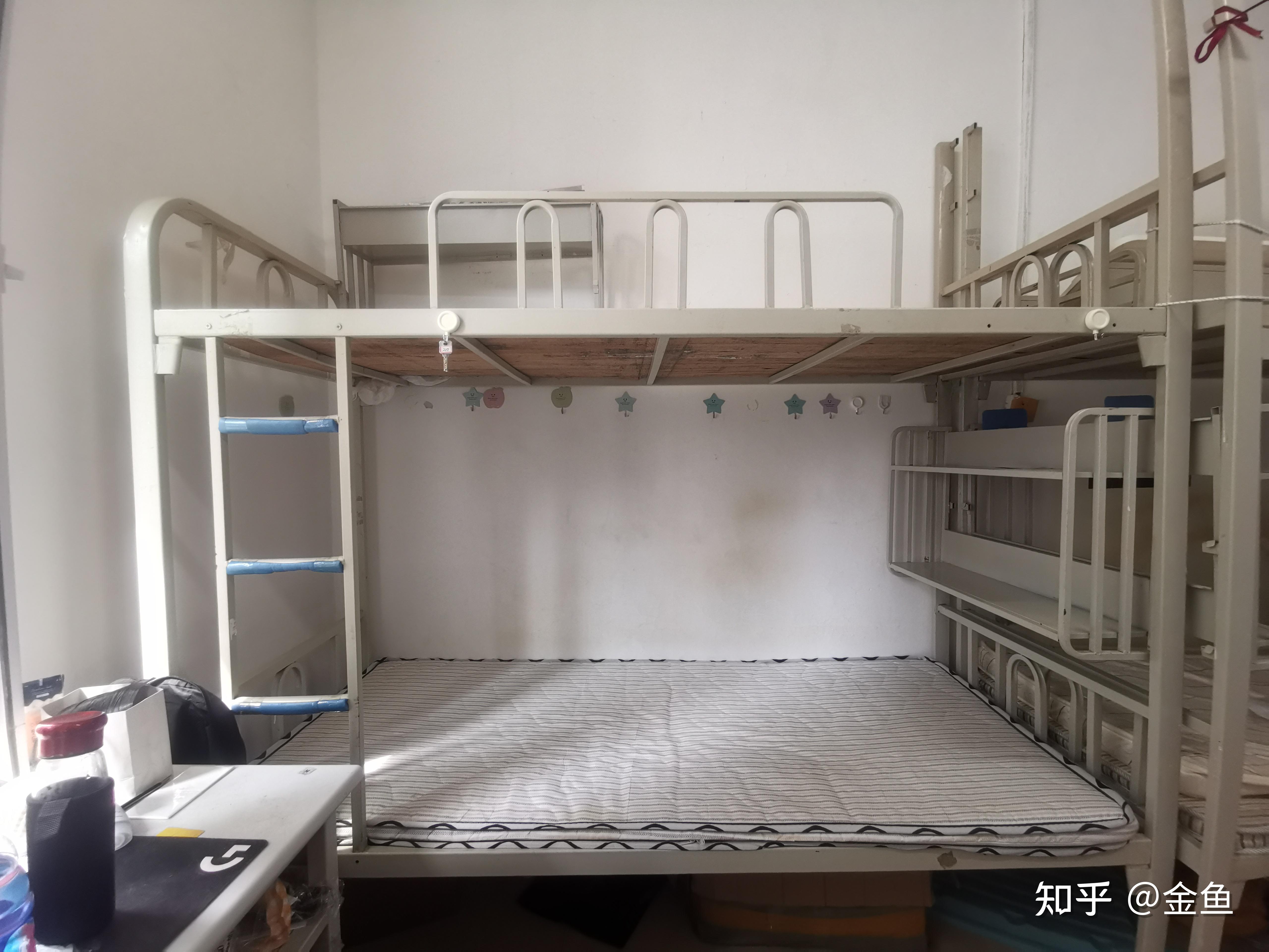 东北林业大学的宿舍条件如何校区内有哪些生活设施