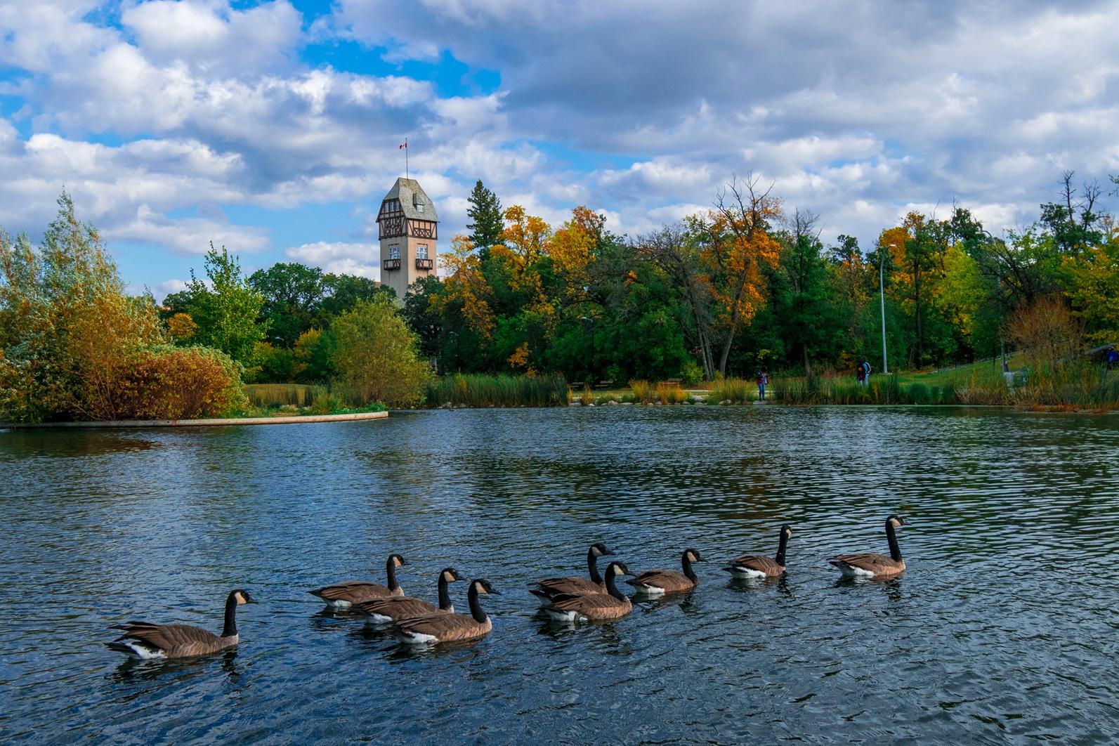加拿大温尼伯有什么好玩的地? - 知乎