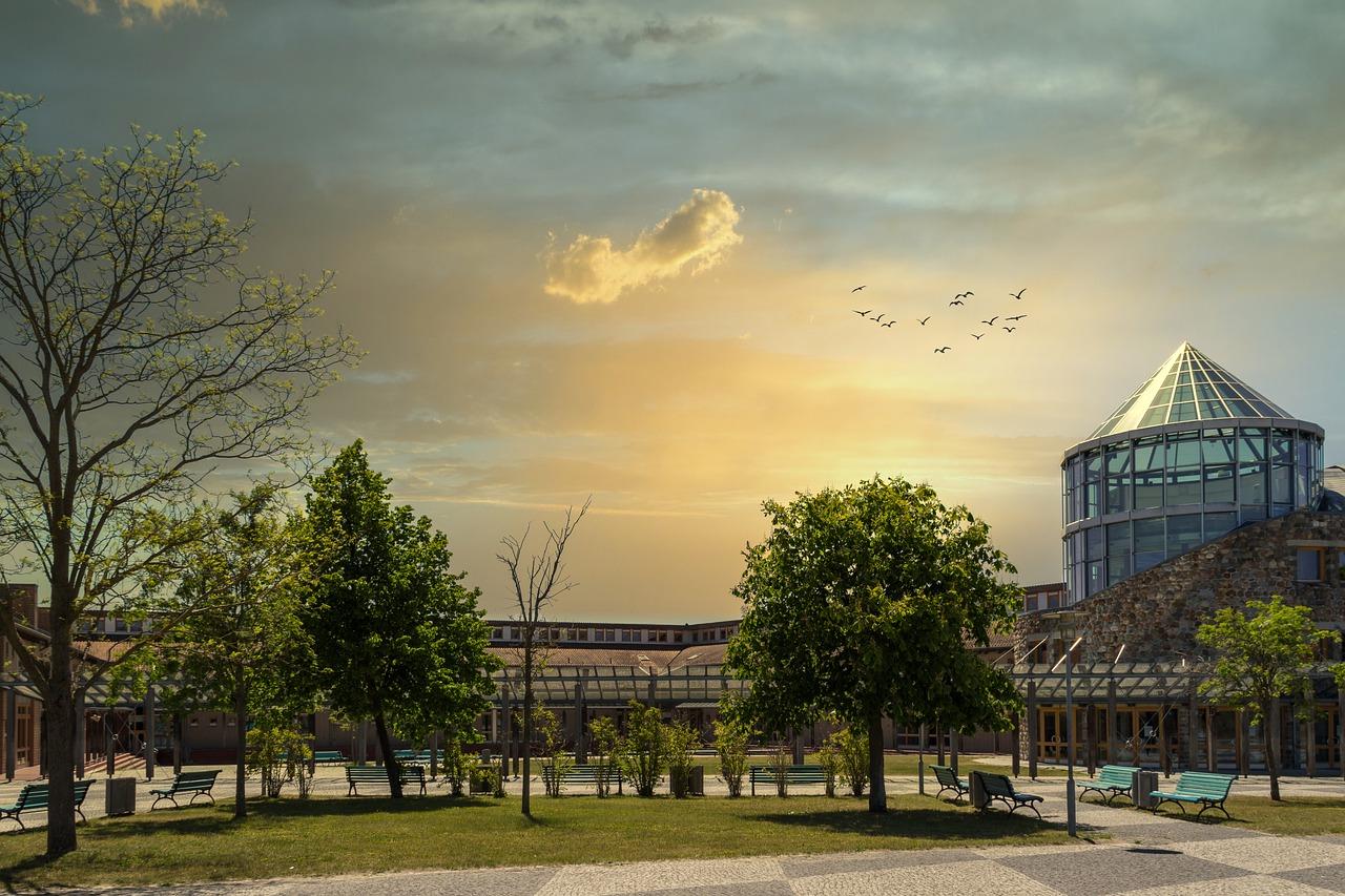 寒假新篇章：六年级生展望二十年后的寒假生活