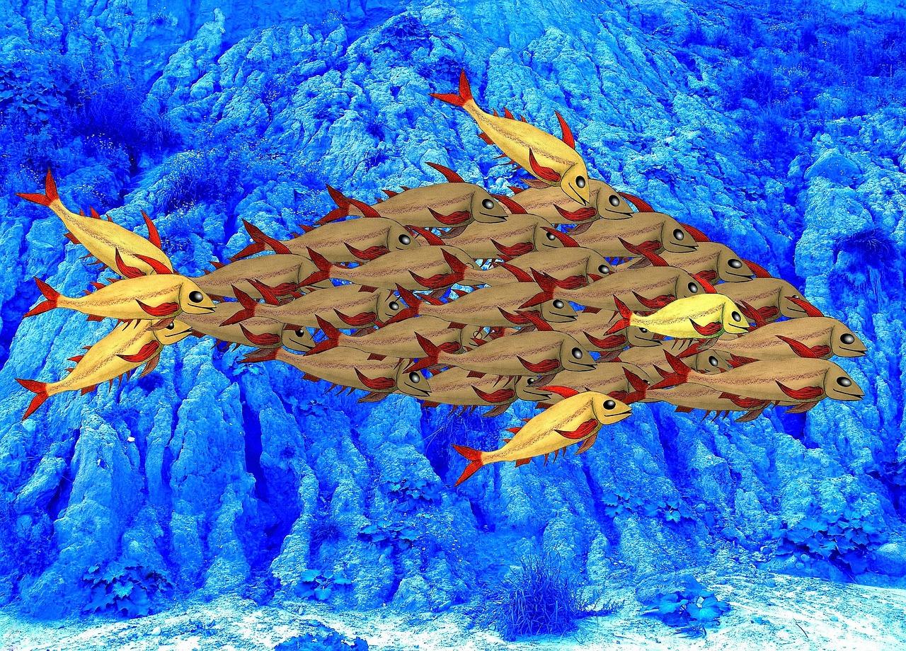 携手同行，班级力量