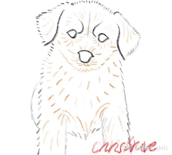敢问这个狗的精微素描怎么抠尤其是狗毛怎么画特别是狗鼻子下面的毛