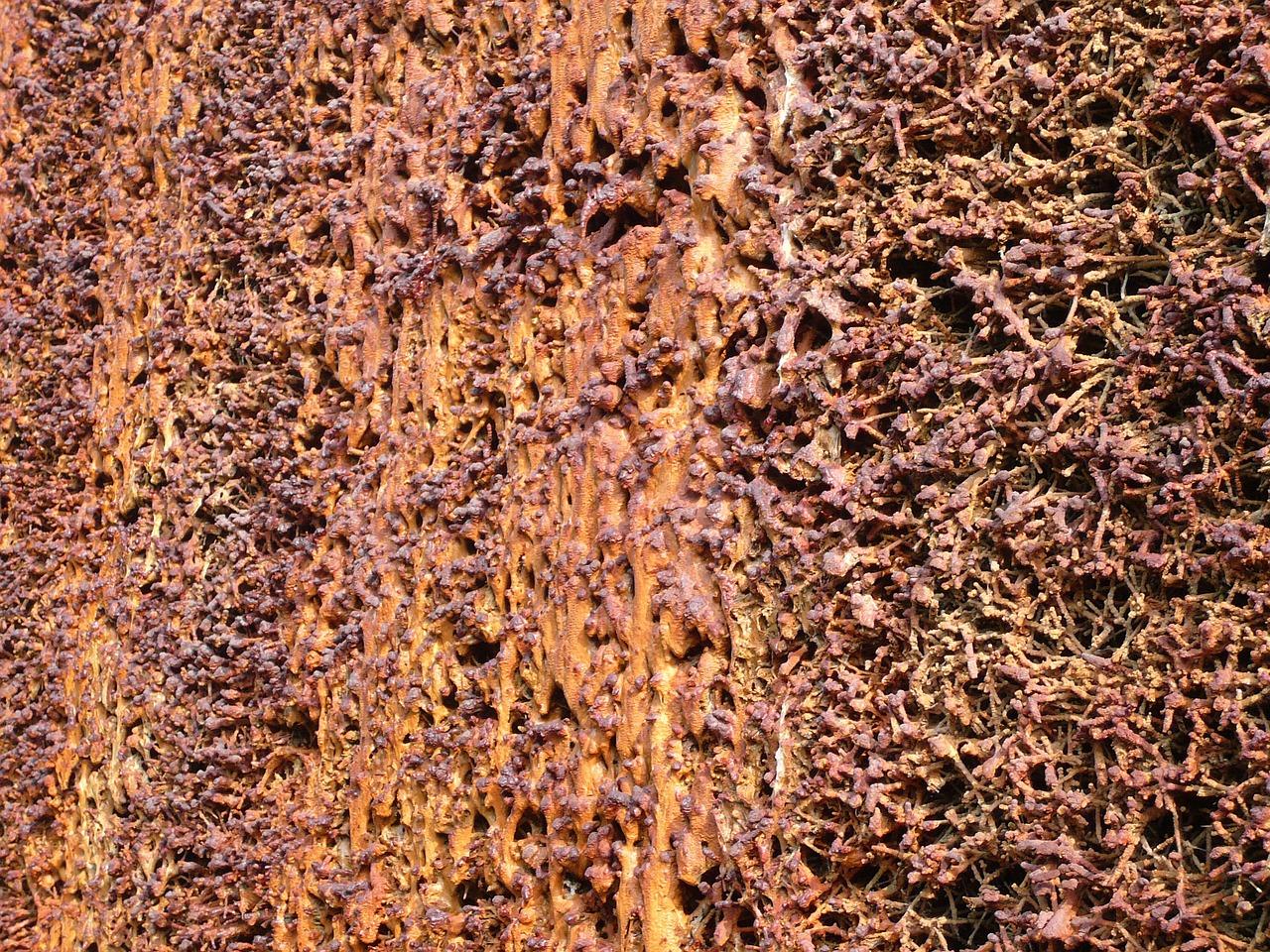 用盐水洗头什么好处