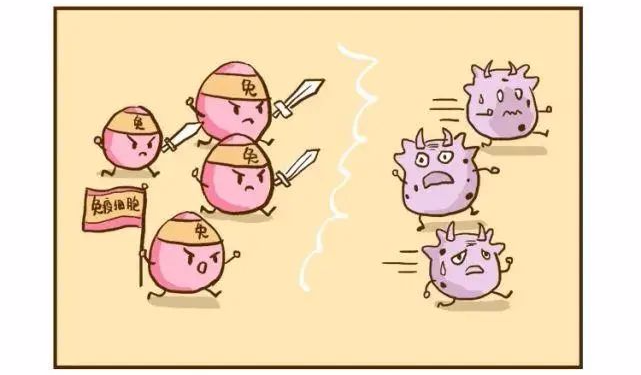 疾病是怎么来的呢其实都是免疫系统打了败仗