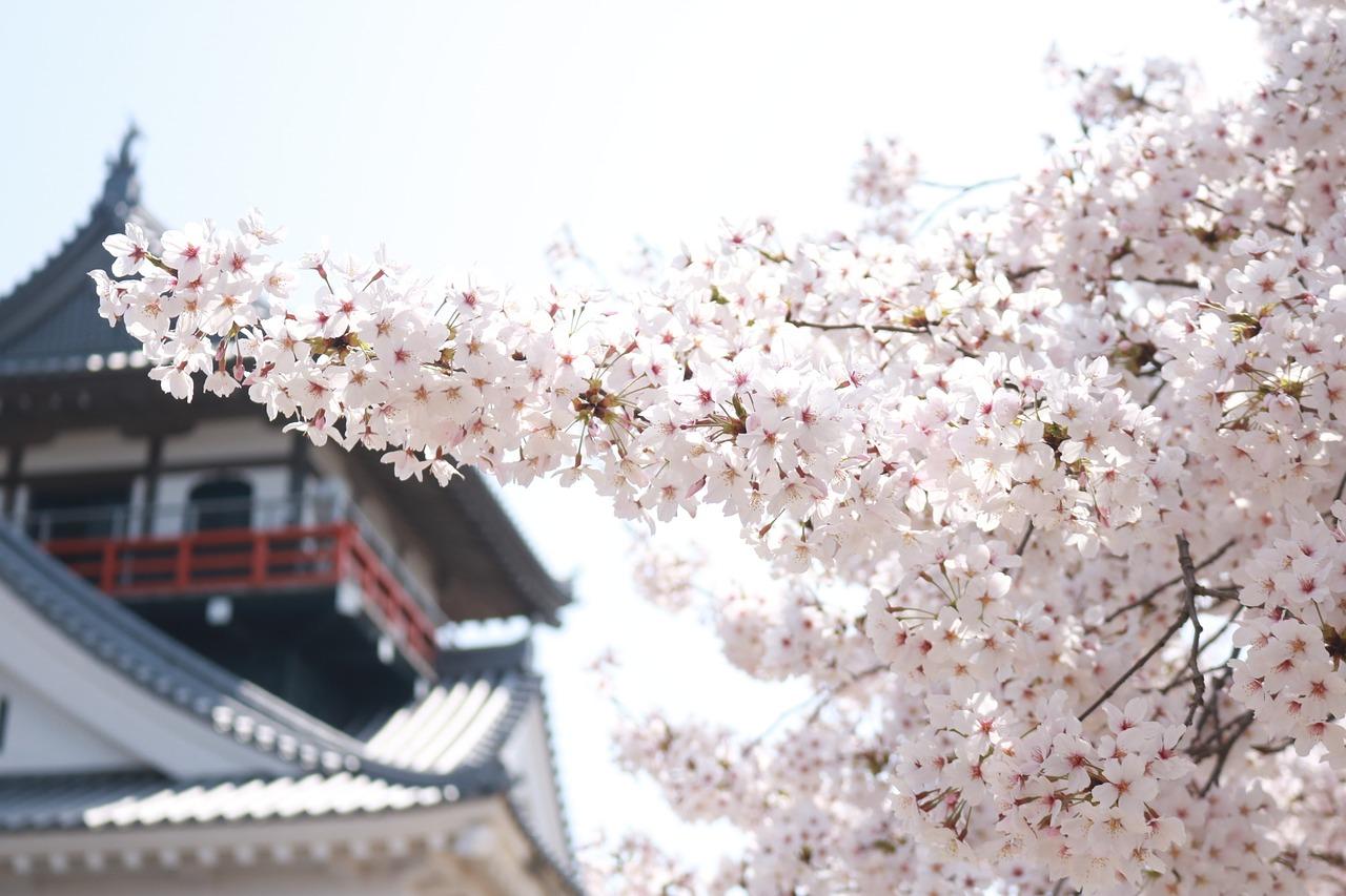 5. 秋冬花卉推荐