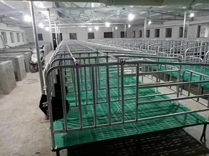 母猪定位栏的作用 母猪定位栏的优势