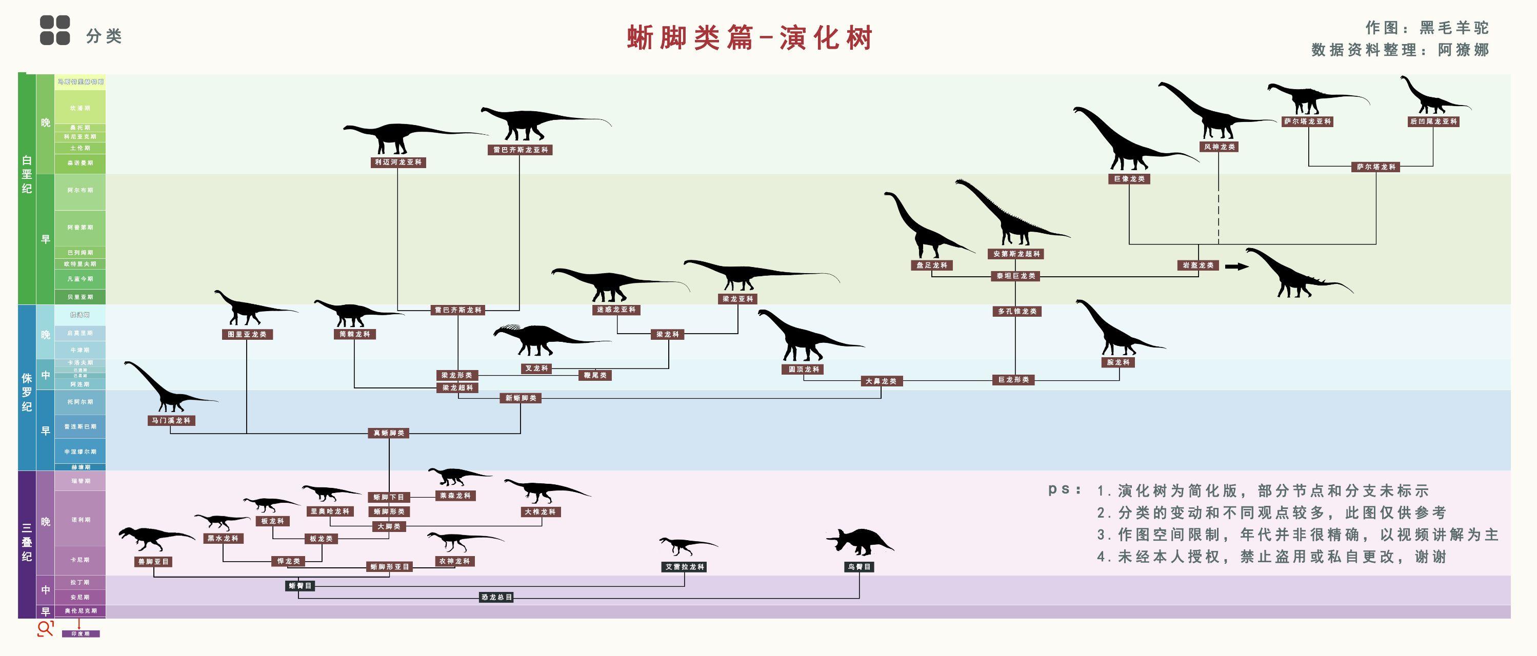 有沒有比較詳細的蜥形綱和獸腳類恐龍的演化樹