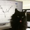 tradingview如何入门 知乎