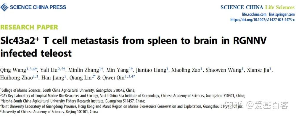水产科研实战：利用scRNA-seq+斑马鱼模型，揭示鱼类T细胞“脾-脑”迁移的机制 - 知乎