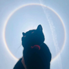 星野xy