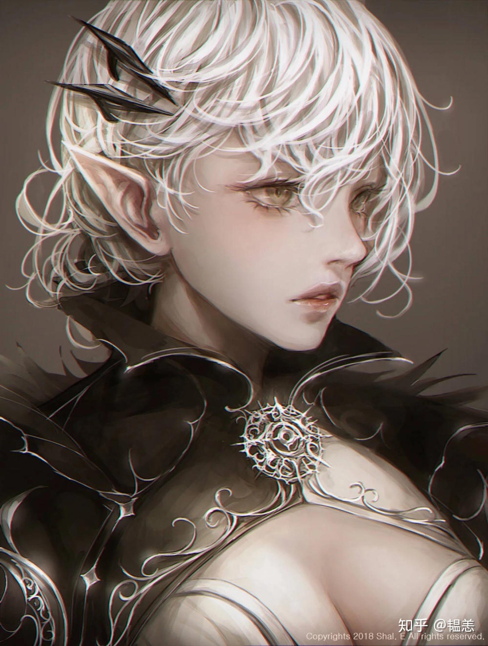 请大触评价一下韩国画师shale的画功