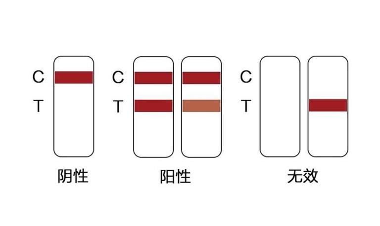 新冠核酸检测抗原检测抗体检测技术有哪些区别