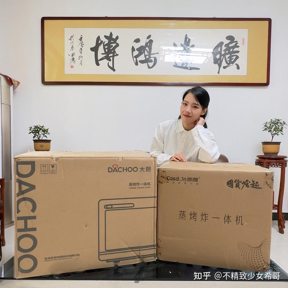 蒸烤一体机真实测评——大厨DB610和凯度SKY air两旗舰款蒸烤箱多维度横评！ - 知乎