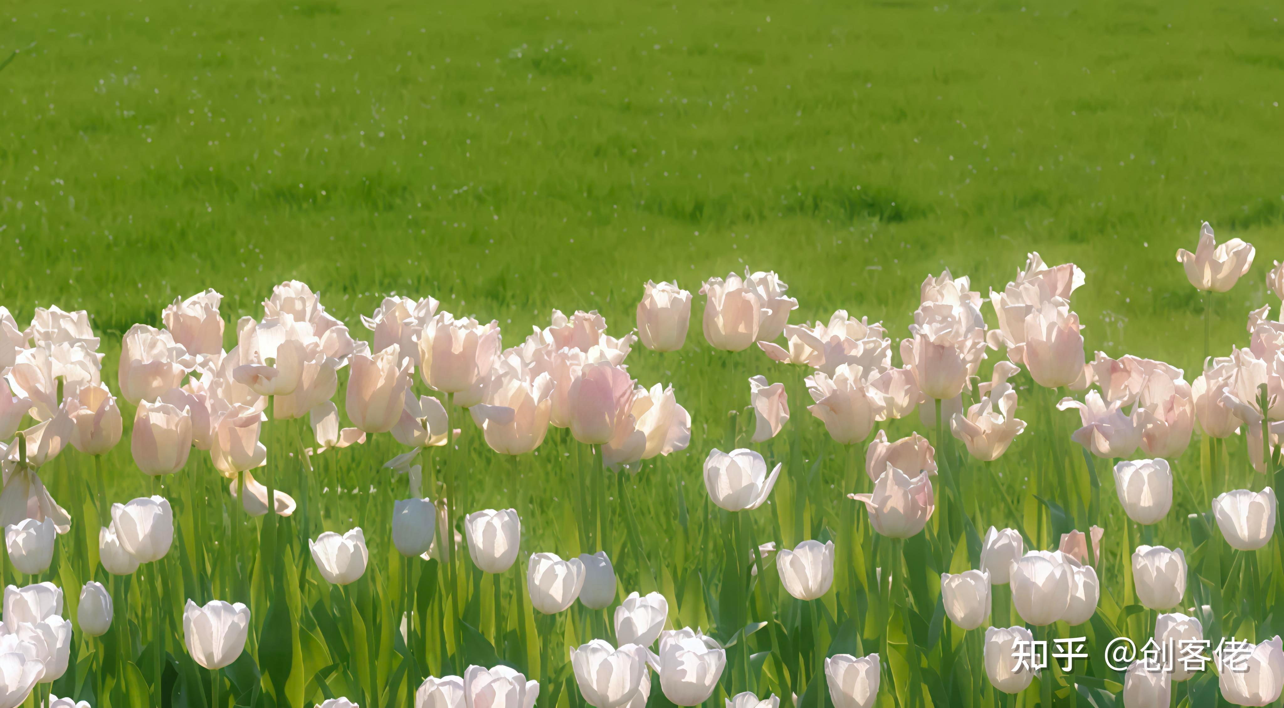 其实你根本不知道自己的挣钱能力有多大