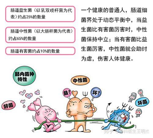 益生菌,益生元,乳酸菌,酸奶,傻傻分不清,对身体有什么作用?