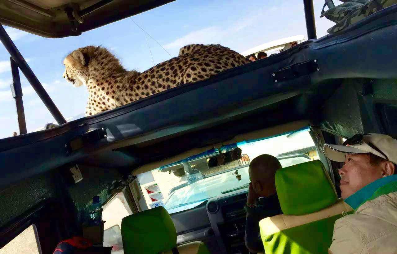 去肯尼亚旅行是一种什么体验?
