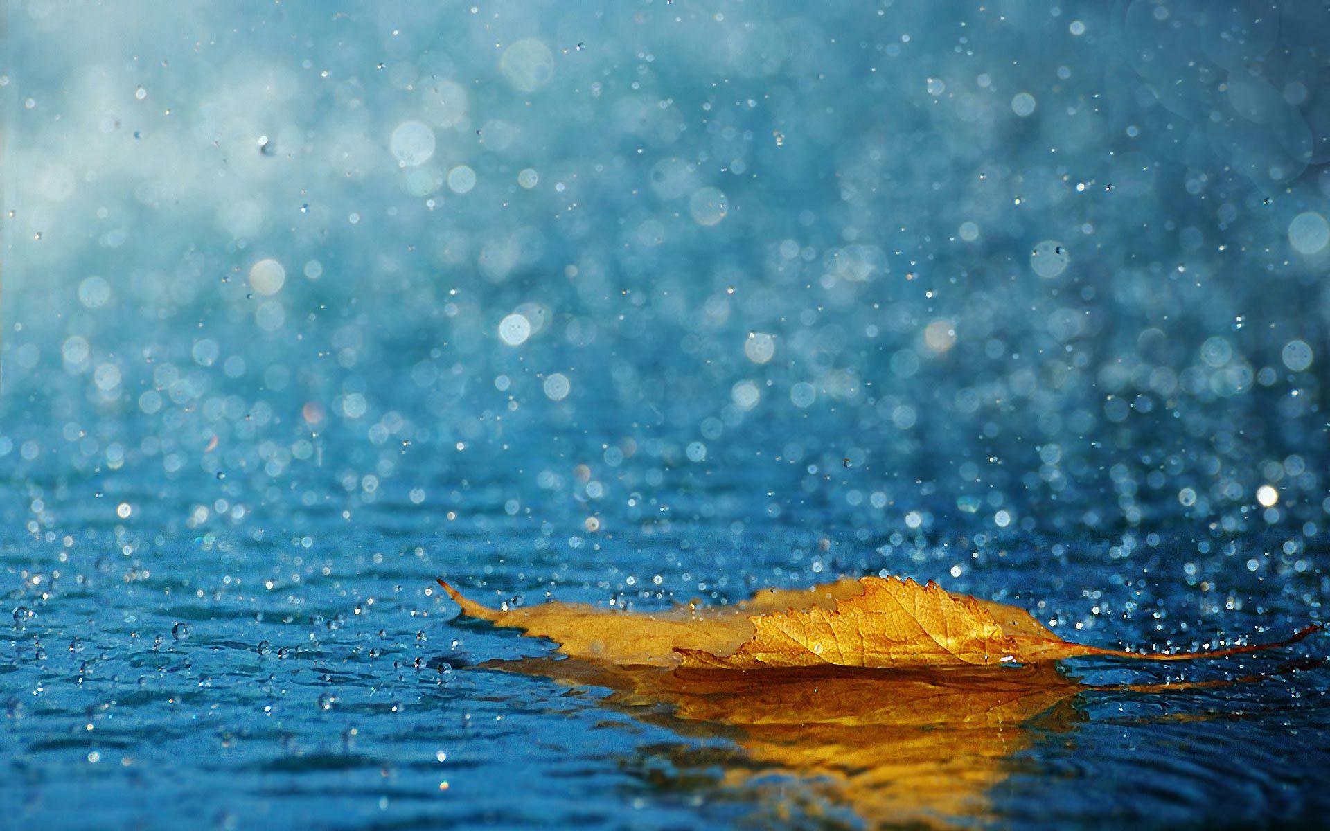 电脑桌面壁纸下雨图片