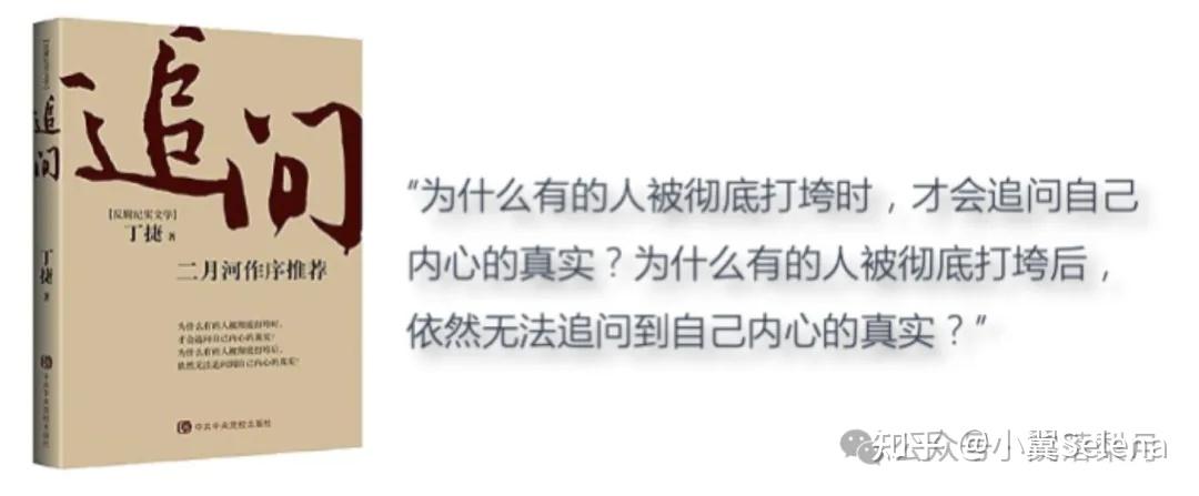 如何评价丁捷的《追问》这本书? - 知乎