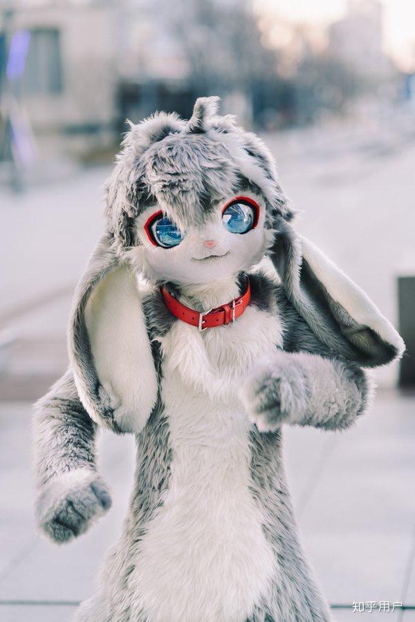 如何说服家长同意买一件17000rmb的fursuit(兽装)?