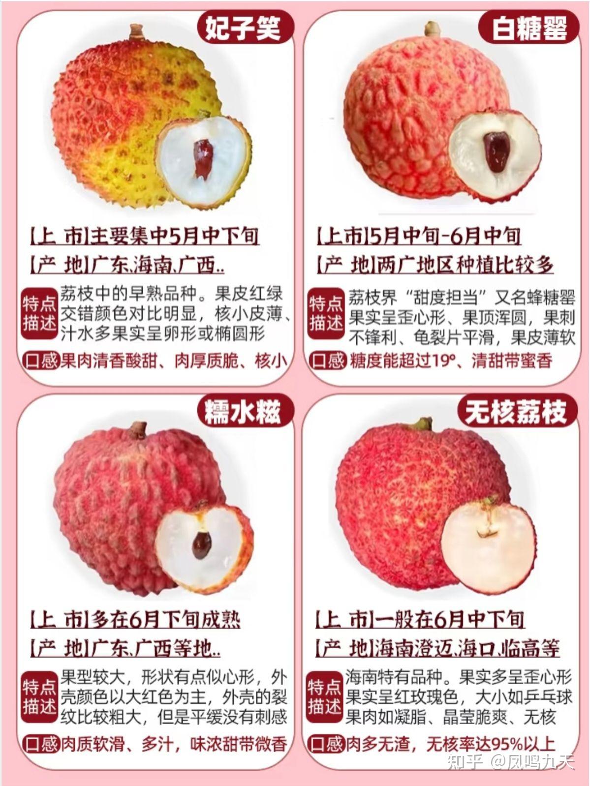 一分钟认识荔枝品种合集 - 知乎