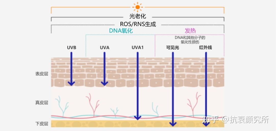 如何应对光老化造成的皮肤问题