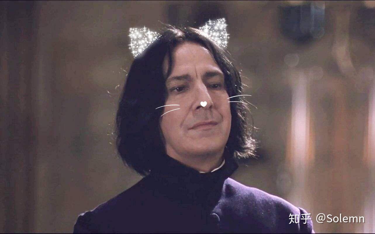 有没有斯莱特林的图片