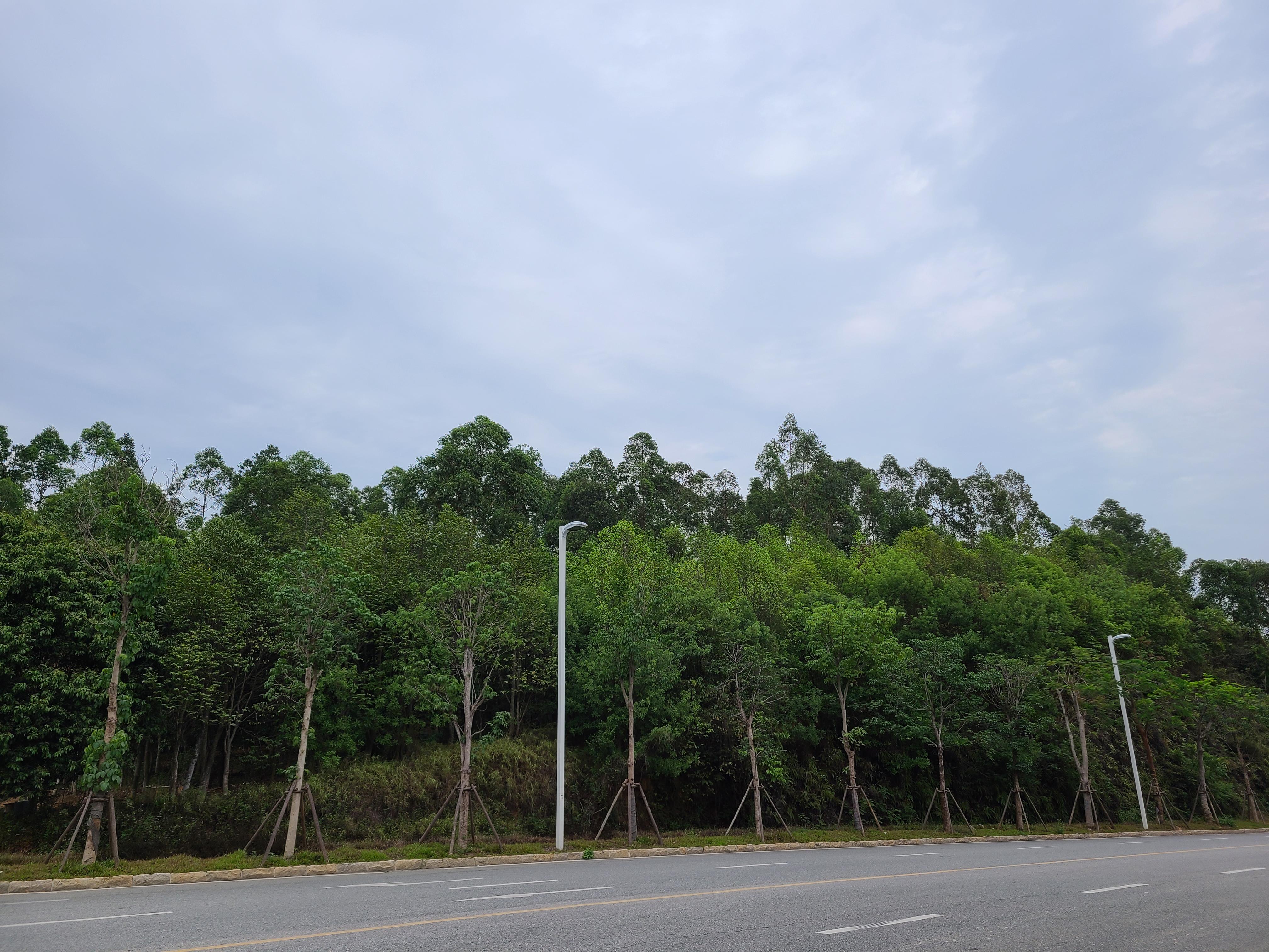 C++ primer 自学记录 知乎