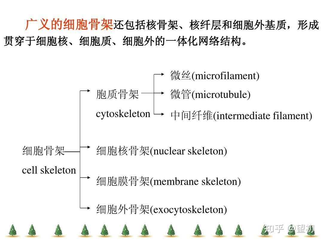 如何理解高中生物課本和大學細胞生物學課本中對於細胞