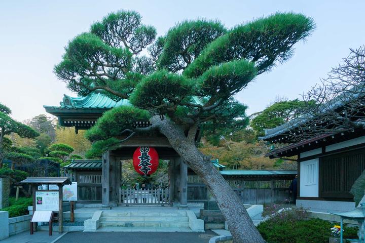 ついに再販開始！ 寺院 造作 明治大正期 | www.ouni.org