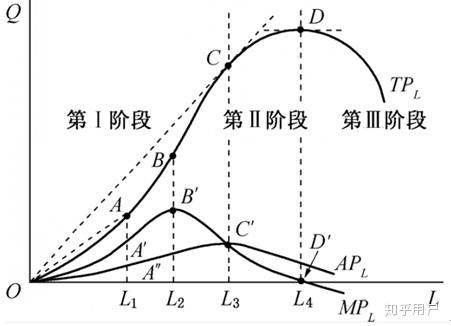 为什么平均产量与边际产量曲线相交于平均产量的最高点? - 知乎