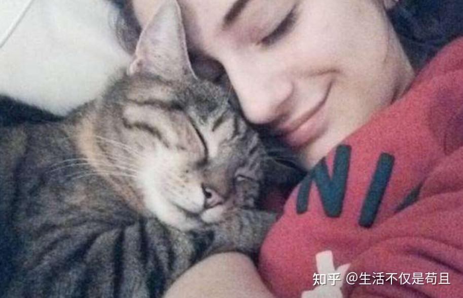 偷偷告诉你,这些猫咪的优点,养猫多年的人都未必知道 - 知乎
