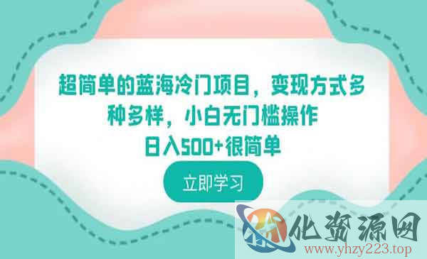 《超简单的蓝海冷门项目》变现方式多种多样，小白无门槛操作日入500+很简单_wwz