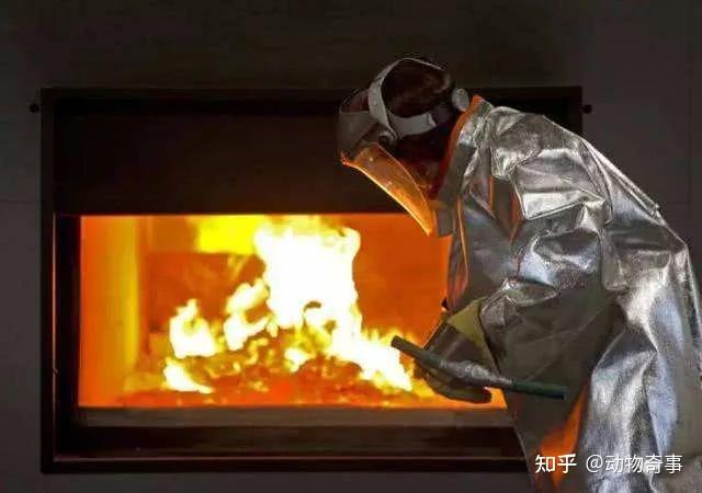 火葬场在火化尸体的时候为什么不让家属靠近? - 知乎