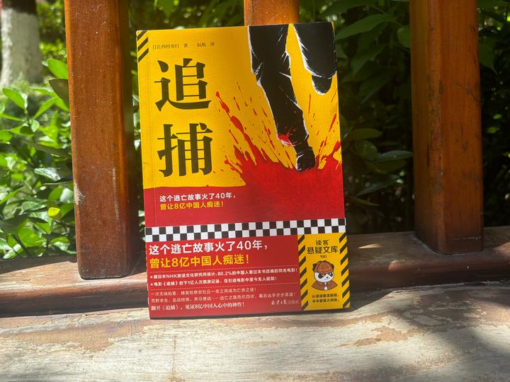 主角被追捕逃亡还破案的小说