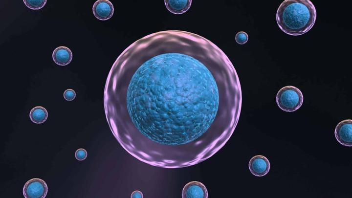生化 | 质谱法是如何在生物制药分析中发挥作用的 - 知乎
