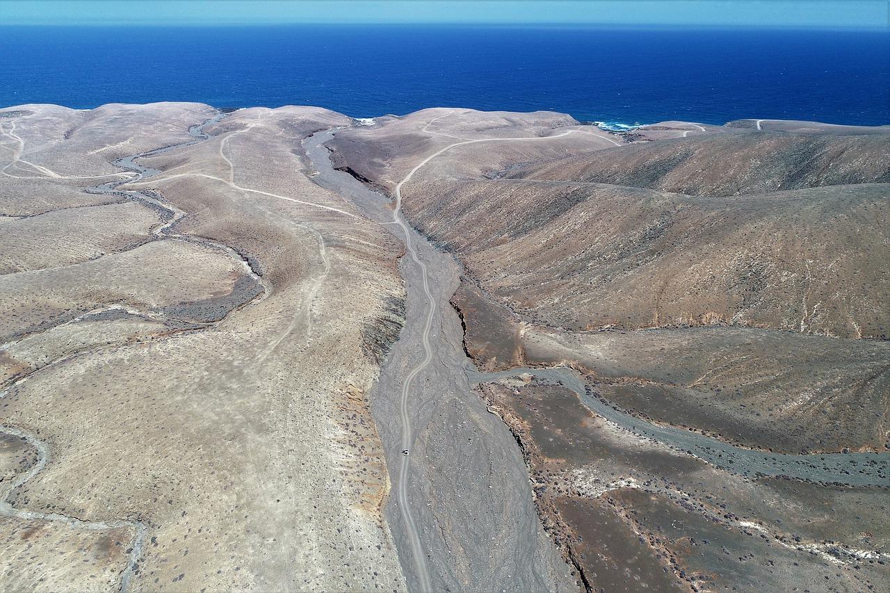 山里猴子的故事