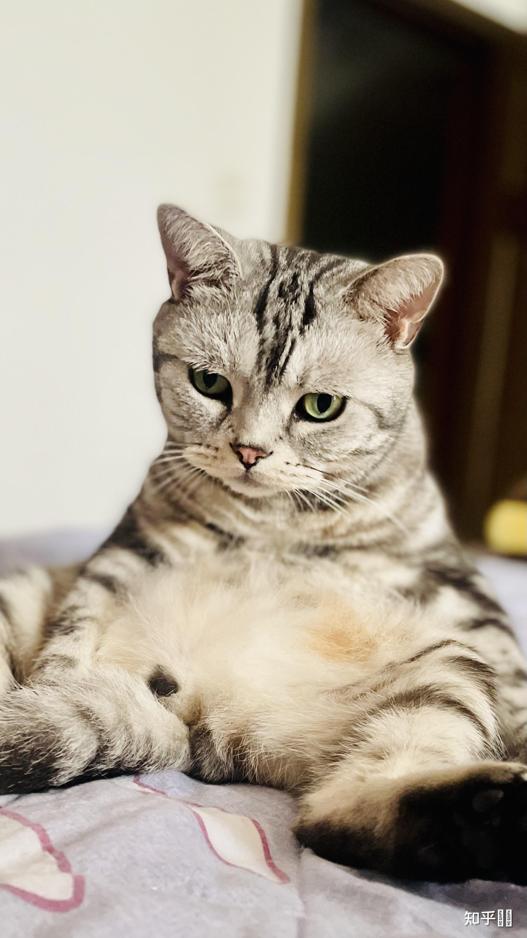 1775_3156竖版 竖屏