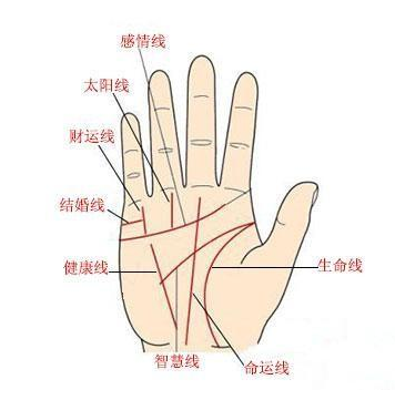 心比天高却注定命里无财的手相 知乎