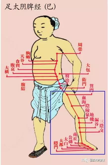 腿,是寒气大本营!如何驱寒? - 知乎