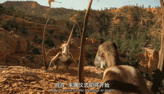 《恐龙时代：你不知道的故事》网飞重磅巨作，太震撼了！