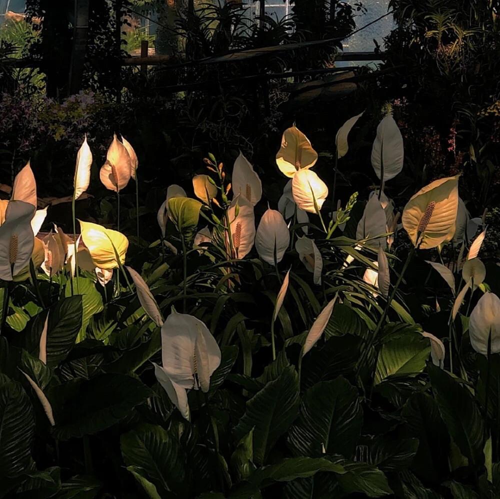 有没有酷酷的朋友圈背景图? - 知乎