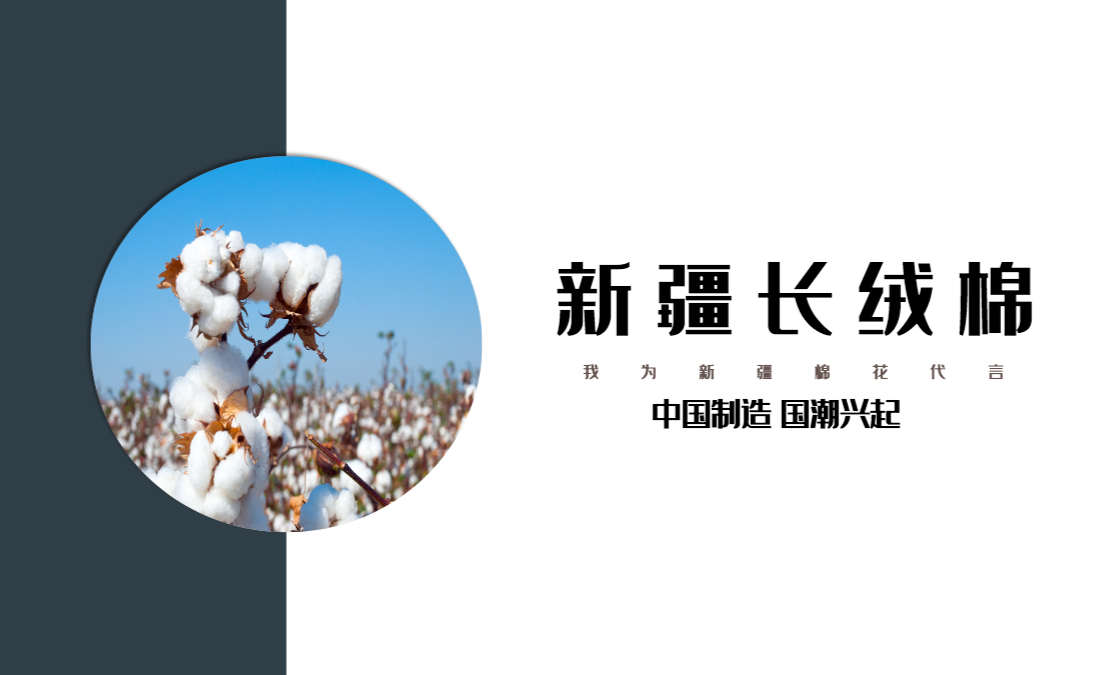 新疆长绒棉简洁雅致纯净新疆棉花农产品介绍课件ppt - 知乎