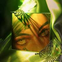 Zhihu profile picture for @roma