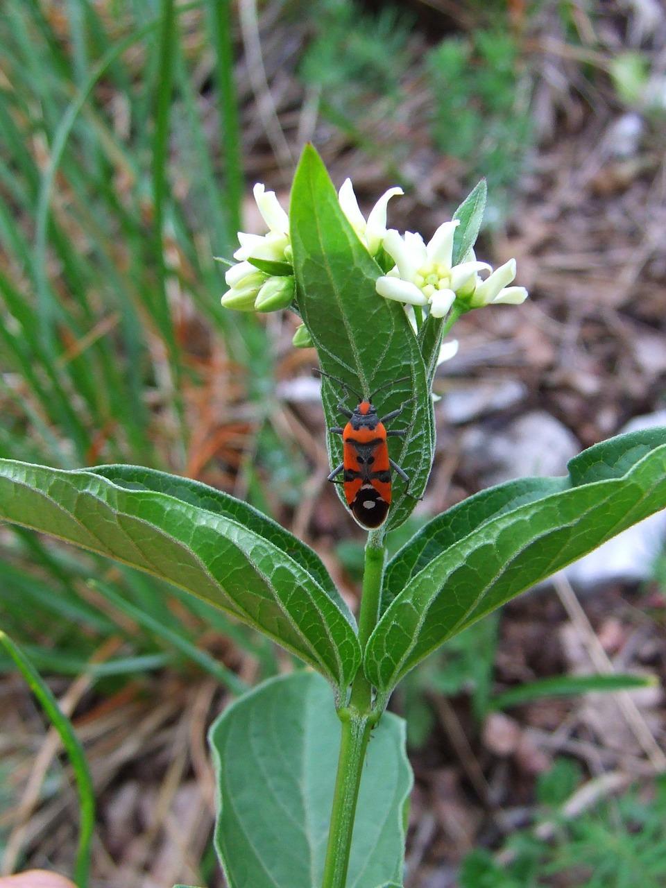 2. 精致户型设计