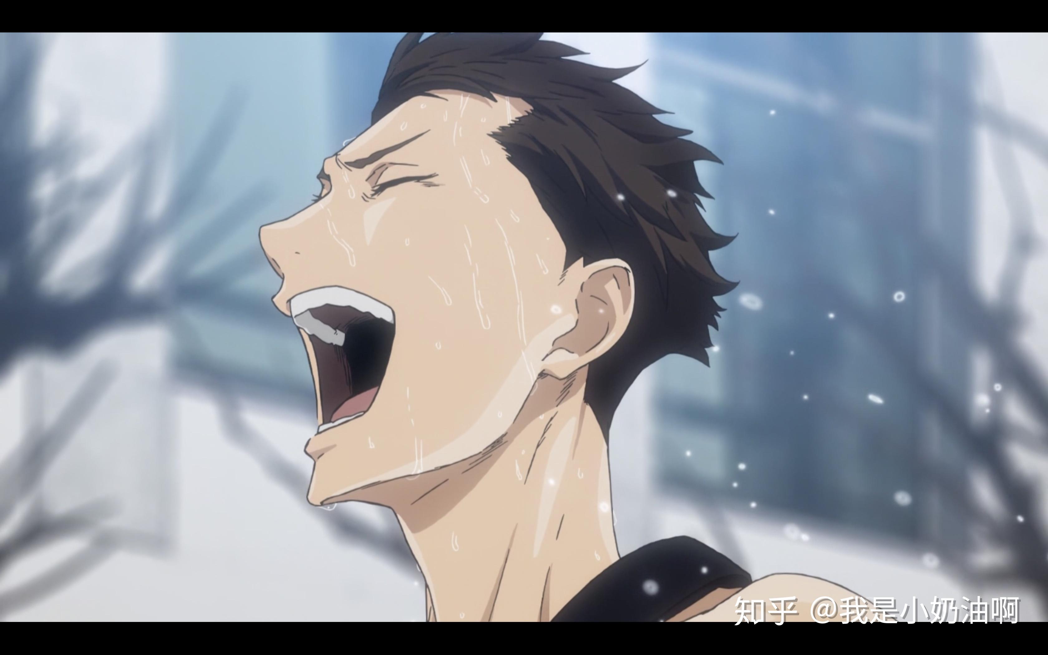 如何评价强风吹拂动画