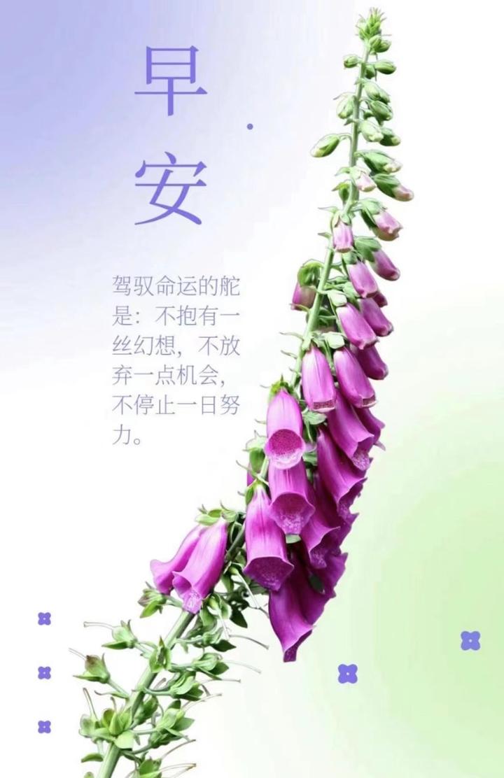 中文Byte Pair Encoding (BPE)分词算法原理剖析及高效实现（附代码） - 知乎